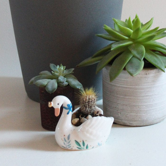 SECRET GARDEN SWAN EGGCUP