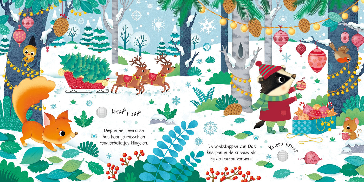 USBORNE In de winter