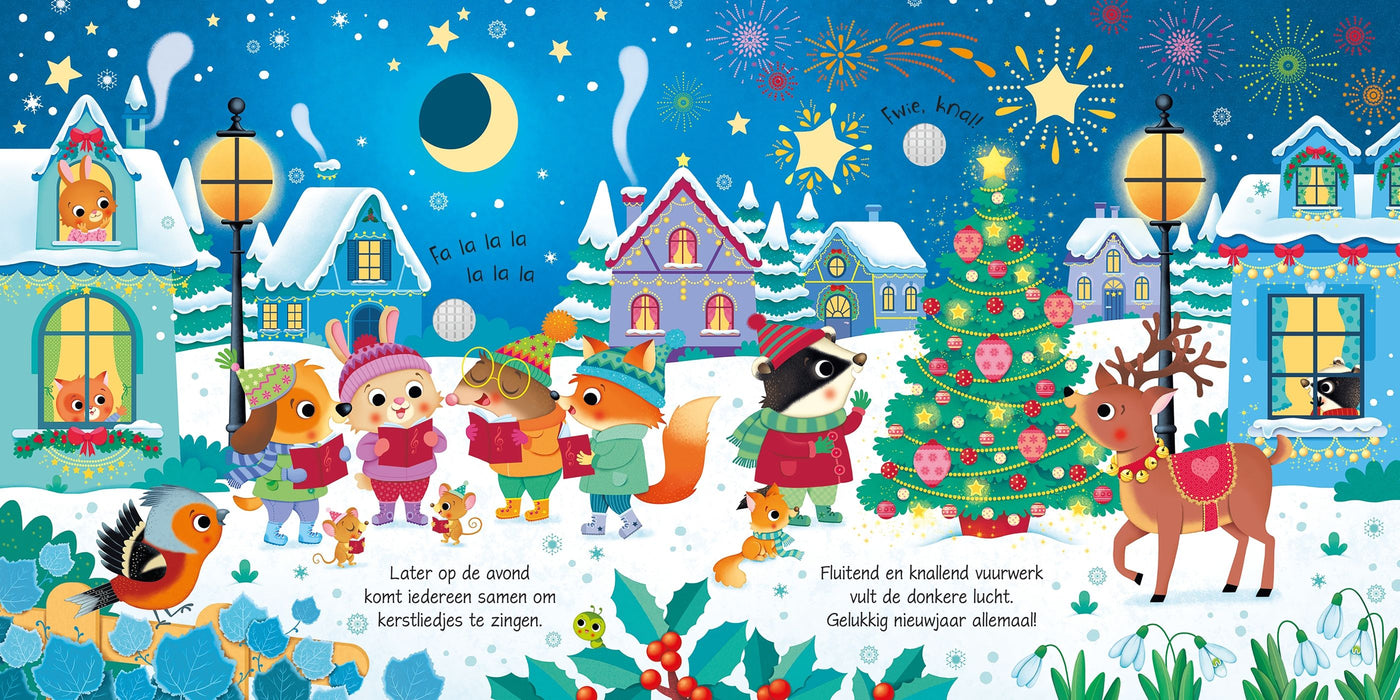 USBORNE In de winter