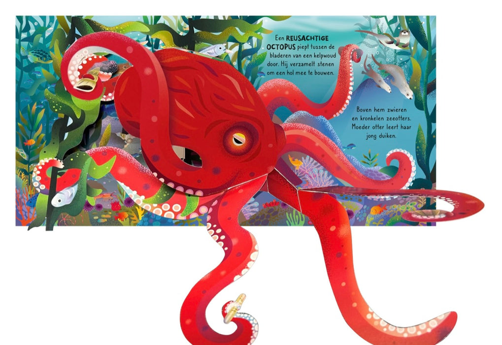 USBORNE Pop-up - De oceaan