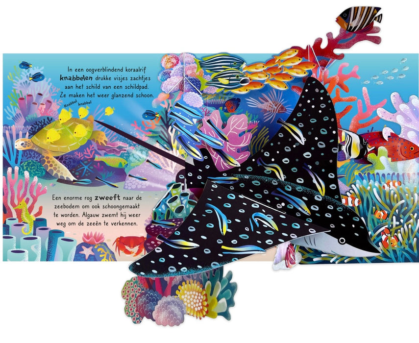 USBORNE Pop-up - De oceaan