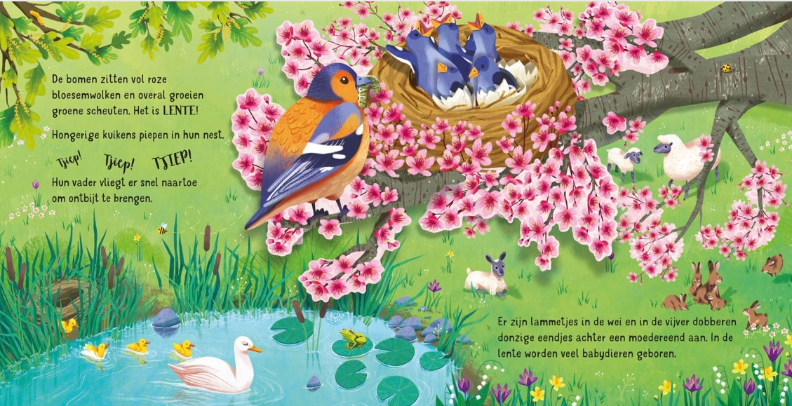 USBORNE Pop-up Seizoenen