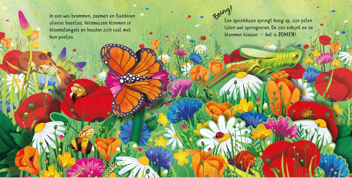 USBORNE Pop-up Seizoenen