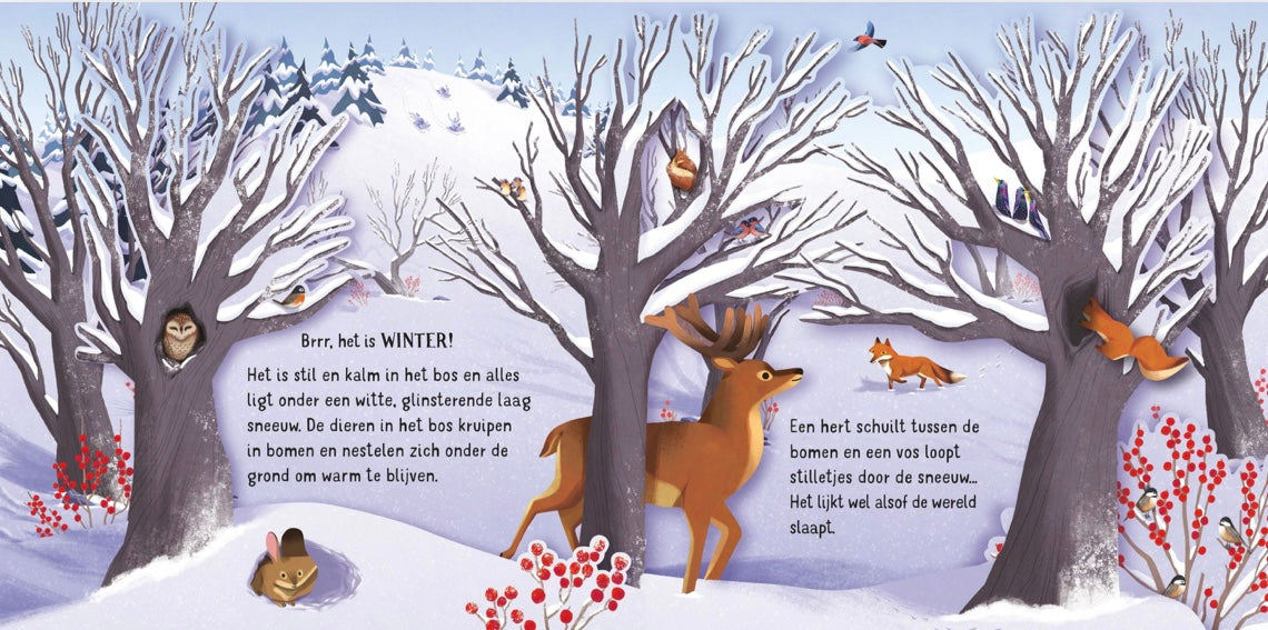 USBORNE Pop-up Seizoenen